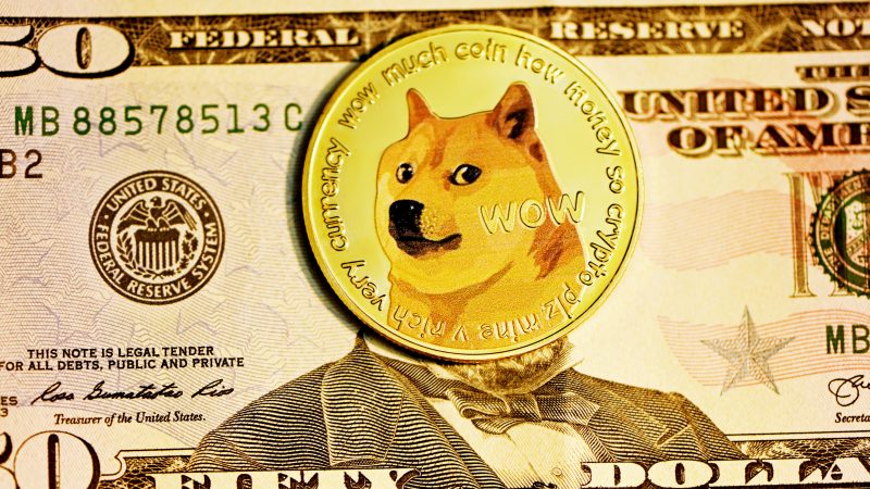 Elon Musk, Tesla en SpaceX aangeklaagd voor $ 258 miljard wegens vermeende Dogecoin-piramide